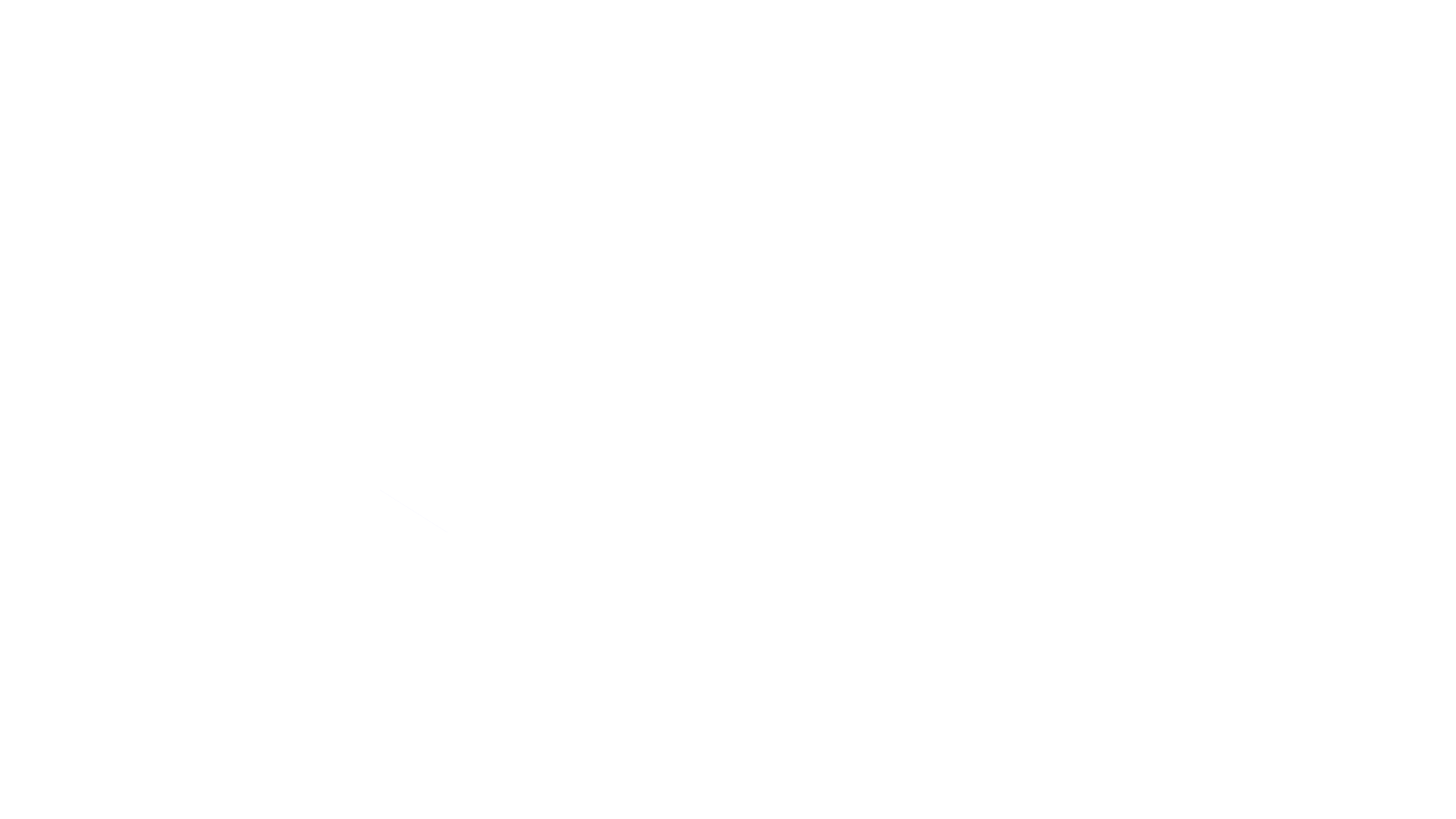LEOX