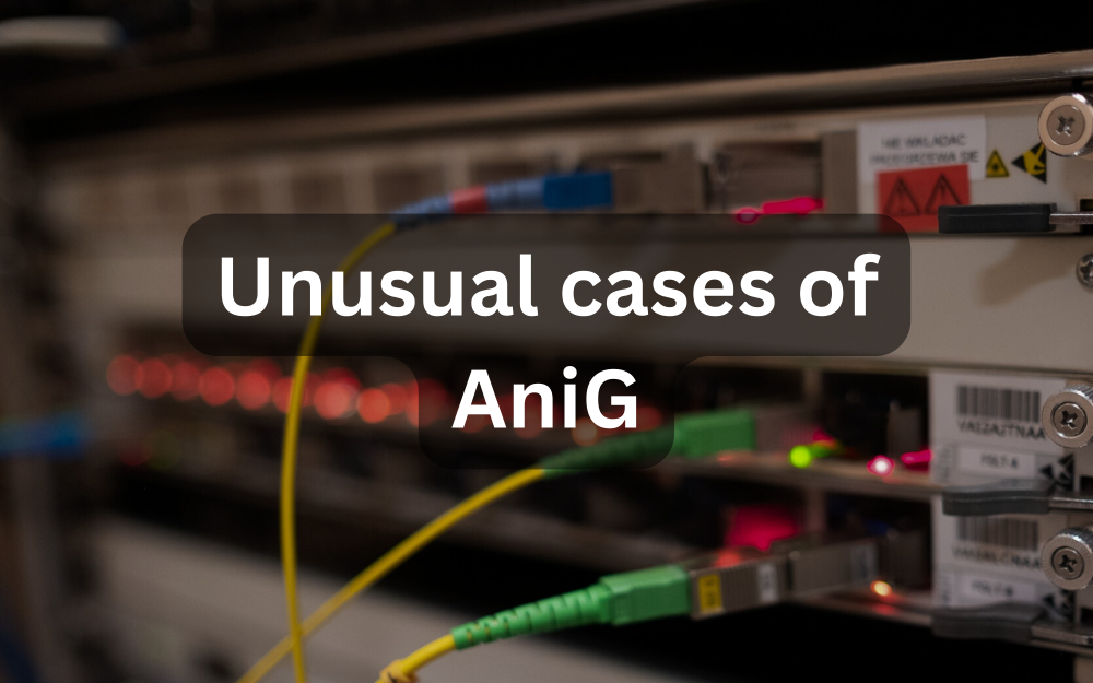 Unusual cases of AniG